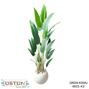 Ürün Küçük Görseli