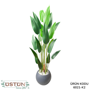 Ürün Küçük Görseli
