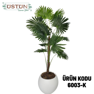 Ürün Küçük Görseli