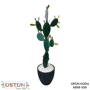 Ürün Küçük Görseli
