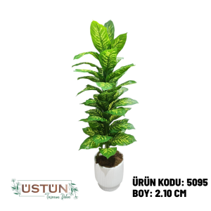 Ürün Küçük Görseli