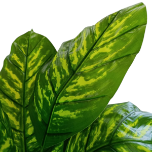 Ürün Küçük Görseli