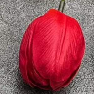 Ürün Küçük Görseli