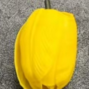 Ürün Küçük Görseli