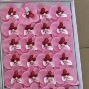Ürün Küçük Görseli