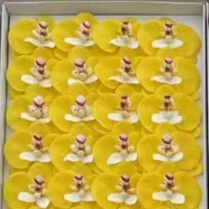 Ürün Küçük Görseli