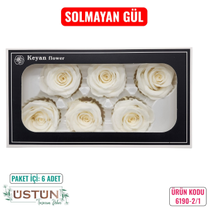 Ürün Küçük Görseli