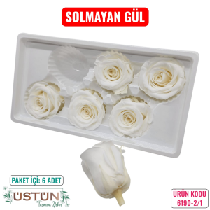 Ürün Küçük Görseli