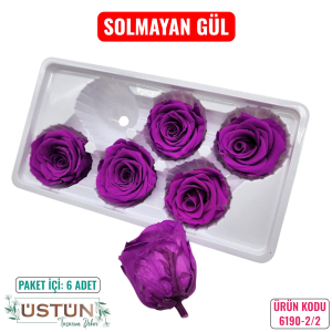 Ürün Küçük Görseli