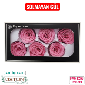 Ürün Küçük Görseli