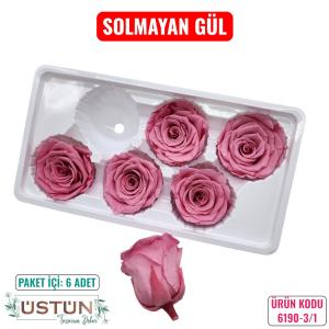 Ürün Küçük Görseli