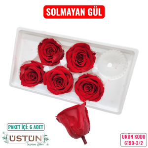 Ürün Küçük Görseli