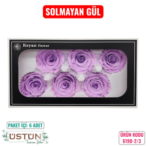 Ürün Küçük Görseli