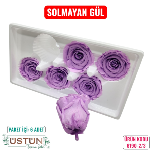 Ürün Küçük Görseli
