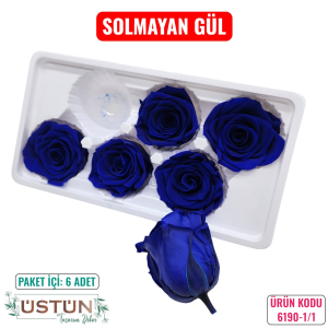 Ürün Küçük Görseli
