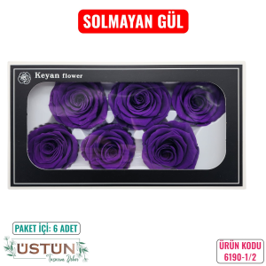 Ürün Küçük Görseli