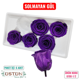 Ürün Küçük Görseli