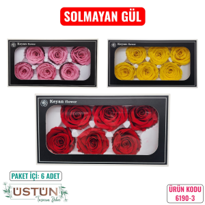 Ürün Küçük Görseli