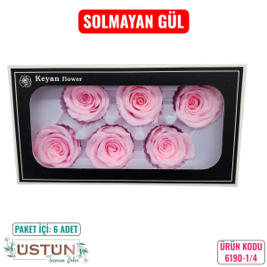 Ürün Küçük Görseli