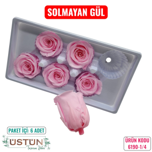 Ürün Küçük Görseli
