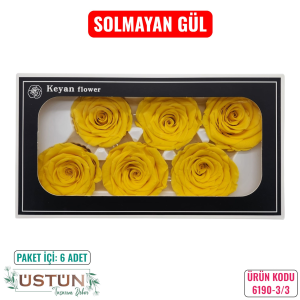 Ürün Küçük Görseli