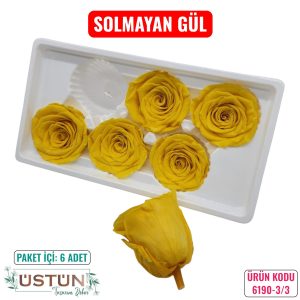 Ürün Küçük Görseli