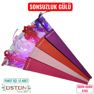 Ürün Küçük Görseli