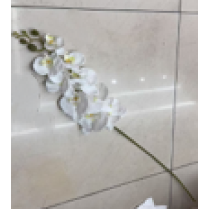 Ürün Küçük Görseli