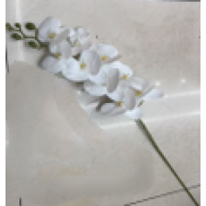 Ürün Küçük Görseli