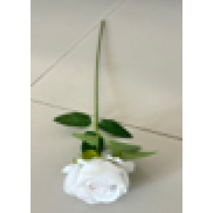 Ürün Küçük Görseli