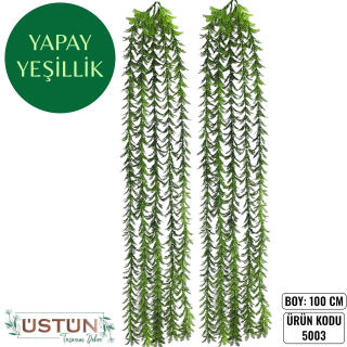 5003 SARKAN YEŞİLLİK