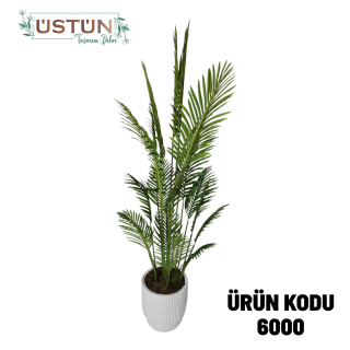 6000 AREKA AĞACI 200CM