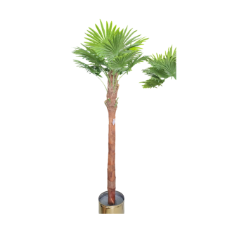 6012 PALMİYE AĞACI 250 CM K3