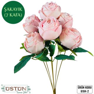 6184-2 ŞAKAYIK-7KAFA
