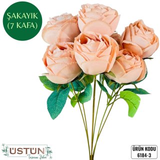 6184-3 ŞAKAYIK-7KAFA