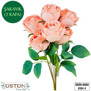 6184-4 ŞAKAYIK-7KAFA
