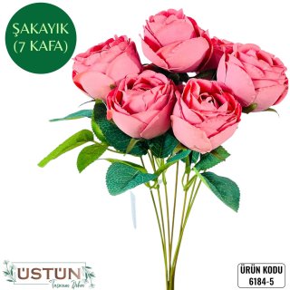 6184-5 ŞAKAYIK-7KAFA