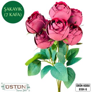 6184-6 ŞAKAYIK-7KAFA