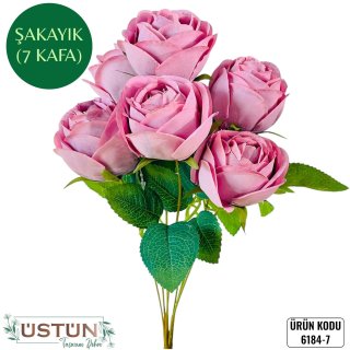 6184-7 ŞAKAYIK-7KAFA