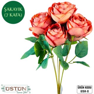 6184-8 ŞAKAYIK-7KAFA