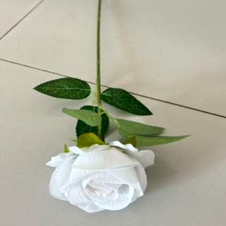 6196-5-TEK GÜL-BEYAZ