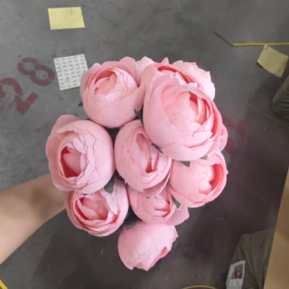 6198-4-KAPALI ŞAKAYIK-12KAFA-PUDRA PEMBE