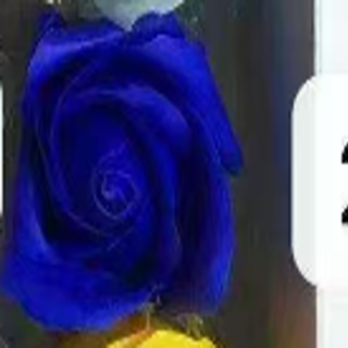 6222-14-SABUN GÜL-50 ADET-SAKS MAVİ-4,5CM