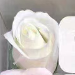 6222-1-SABUN GÜL-50 ADET-BEYAZ-4,5CM