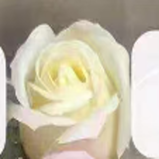 6222-1-SABUN GÜL-50 ADET-KREM-4,5CM