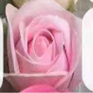 6222-3-SABUN GÜL-50 ADET-PUDRA PEMBE-4,5CM