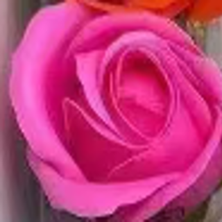 6222-8-SABUN GÜL-50 ADET-ŞEKER PEMBE-4,5CM