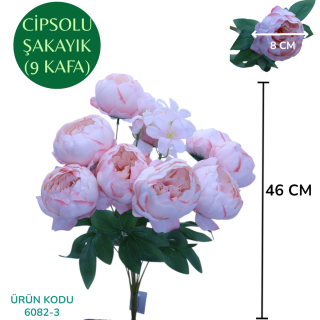 CİPSOLU ŞAKAYIK-9 KAFA-PUDRA