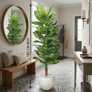 PLASTİK KÜRE2 SAKSILI 6218 DİFENBAHYA-39YAPRAK-185CM