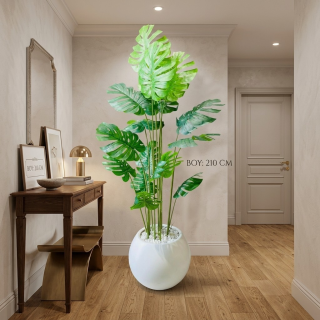 PLASTİK KÜRE3 SAKSILI 6015 DEVE TABANI 16 YPRİ-210CM